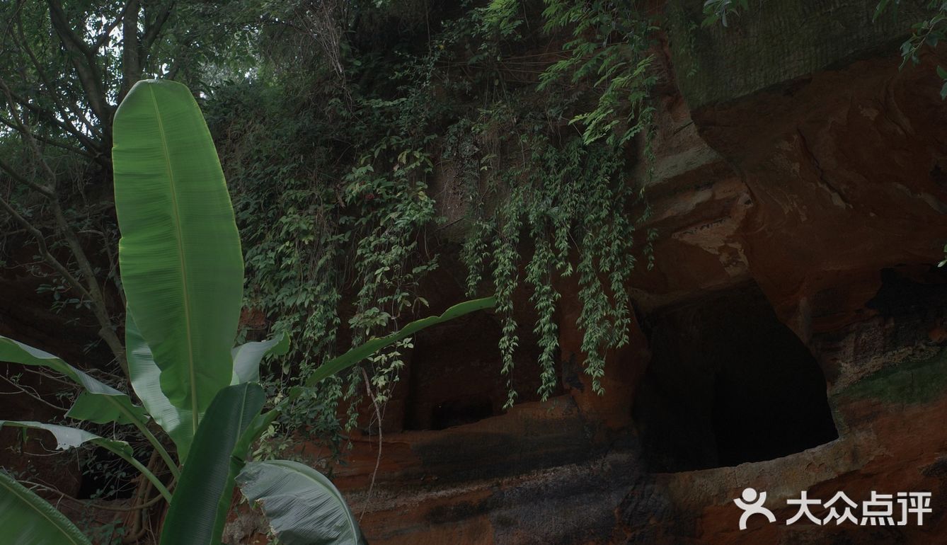 误入乐山大佛脚下的田园咖啡馆