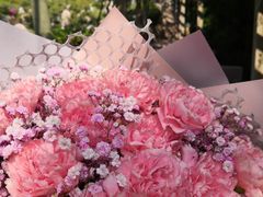 -沪花拾者(好再来花卉鲜花店)