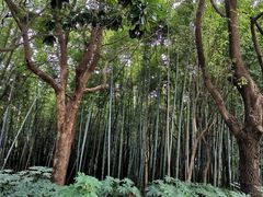 -苏州河梦清园环保主题公园