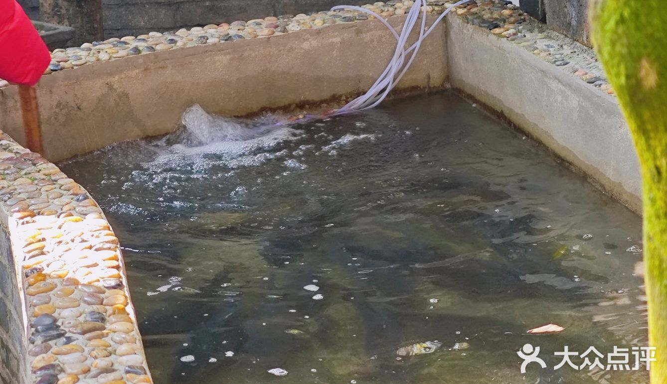 都江堰出租车司机推荐