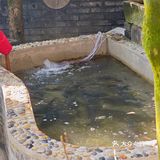 都江堰出租车司机推荐