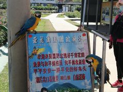 -亚龙湾国际玫瑰谷