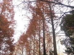 -苏州河梦清园环保主题公园