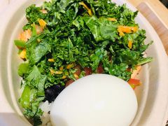 -油梨树AVOCADO TREE(嘉里中心店)