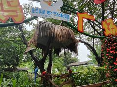 -广州长隆飞鸟乐园