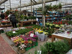 -三圣花乡旅游区