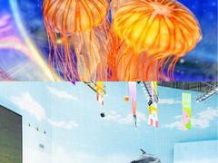 -海合安天津极地海洋公园