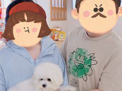 -翊宠yipet猫狗购宠庄园犬舍•猫舍