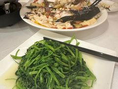 -锦粤宫·精致粤菜(深圳北站店)