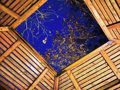 -春晖园度假酒店温泉