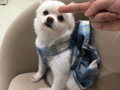 -怪兽屋·羊驼·猫咖·狗咖(俊华广场店)