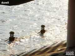 -瀛洲公园
