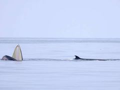 -涠洲岛南湾海洋运动公园
