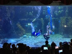 -台州海洋世界