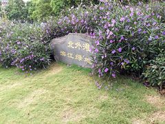 景点-北外滩滨江绿地