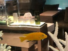 -DFS迪斐世(香港广东道店)