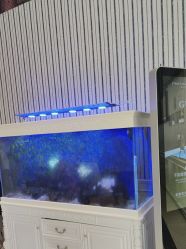 -爱儿美儿童摄影(五路居花园别墅店)