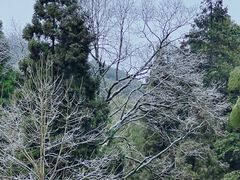-雪峰寺