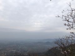 -阳台山自然风景区