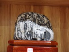 -东哥紫阳蒸盆子(旺座·现代城店)
