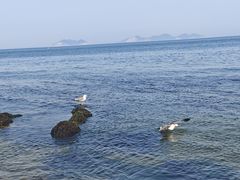 -棒棰岛宾馆景区