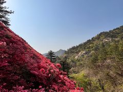 -木兰云雾山