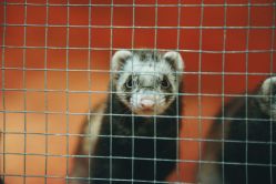 -酷嗒动物文化乐园(cutezoo西溪乐天城店)