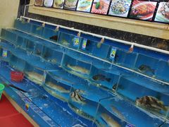 -008海鲜排档(朱家尖2号店)
