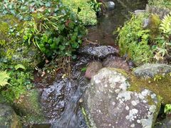 -ステーキハウス吉池