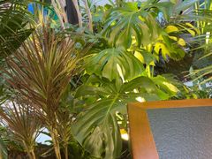 -菌自由丨野生菌火锅特色庭院餐厅(丽江古城店)