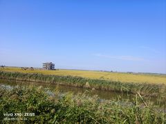 -红海滩国家风景廊道