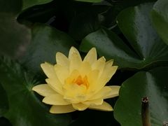-莲湖公园