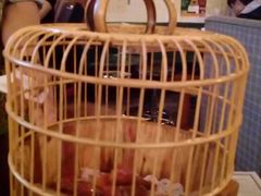 -胡桃里音乐酒馆(万科城市广场店)