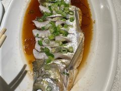 -金美华轩(东方路齐鲁店)