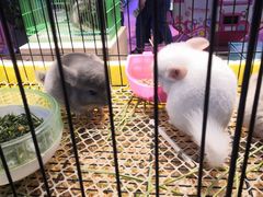 -鸿通城购物中心