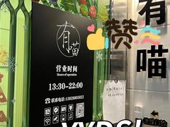 -有喵·猫咖·狗咖·30几只猫10只小狗(岗厦店)