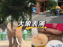 -野象谷景区