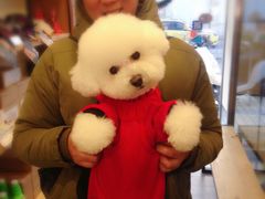 -PETKIT小佩宠物(古北店)