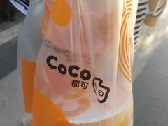 -CoCo都可(光谷天地店)