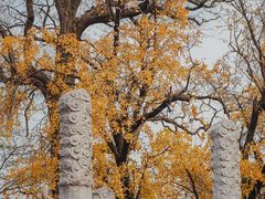 -苏州文庙(姑苏区)