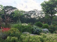 -东莞植物园