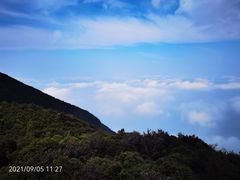 -武陵山森林公园