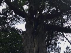-青岛崂山太清宫