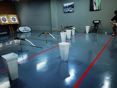 -蓝天射箭馆·专业射箭运动(诚丰广场店)