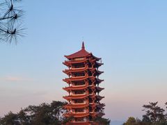 -缙云山景区