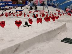 -湘江欢乐城欢乐雪域
