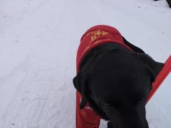 -太子岭滑雪场