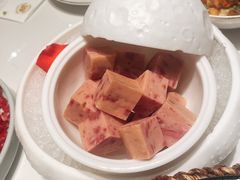 -领鲜天下·焗海鲜·花胶鸡(天目里店)