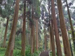 -青城山