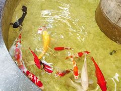 -古莲·影院足道·按摩SPA(水上温泉店)